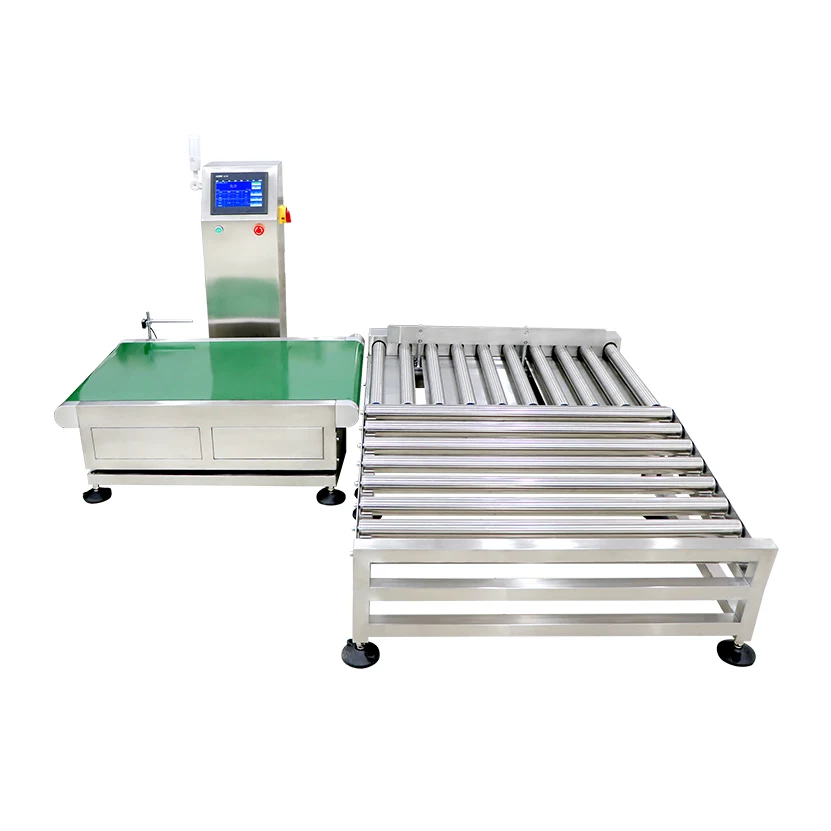 Assembly Checkweigher Scale